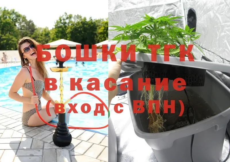 Бошки Шишки индика  где найти наркотики  Заозёрный 